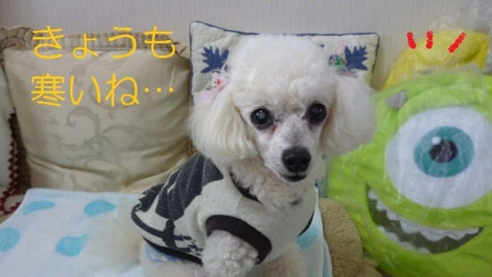 春の雨…今日も東京は花冷え…(-_-)ウーム 散ってしまった桜…