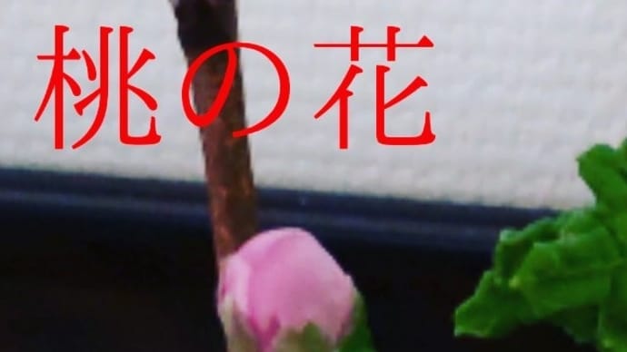 福岡大学❤️最高😃⤴️⤴️