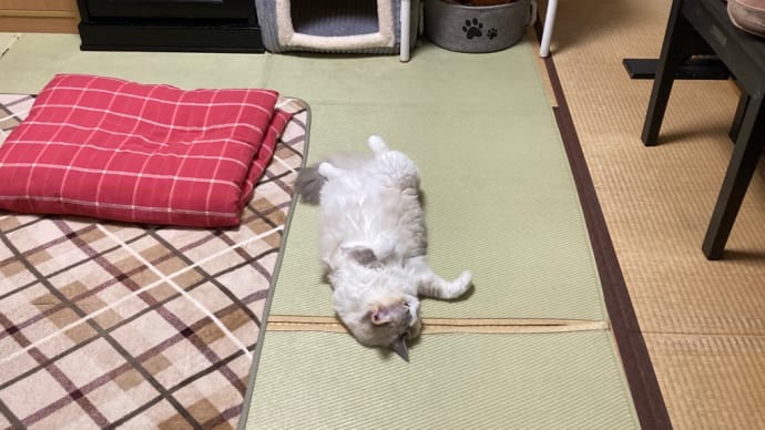 家族は仕事、私は休み