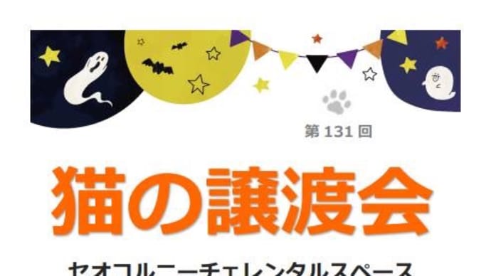 譲渡会のお知らせ
