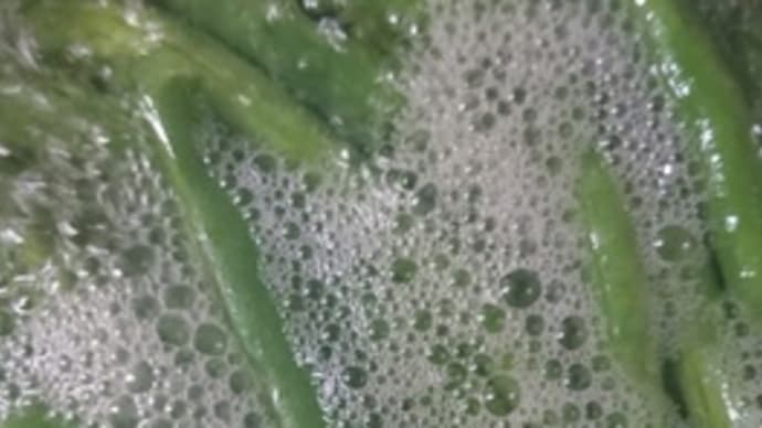 ごま、胡麻、ゴマ。