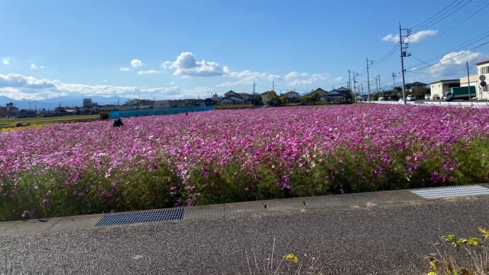 風は吹かない?