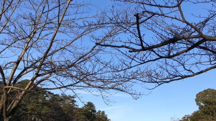 ドラゴンみたいな雲を見た