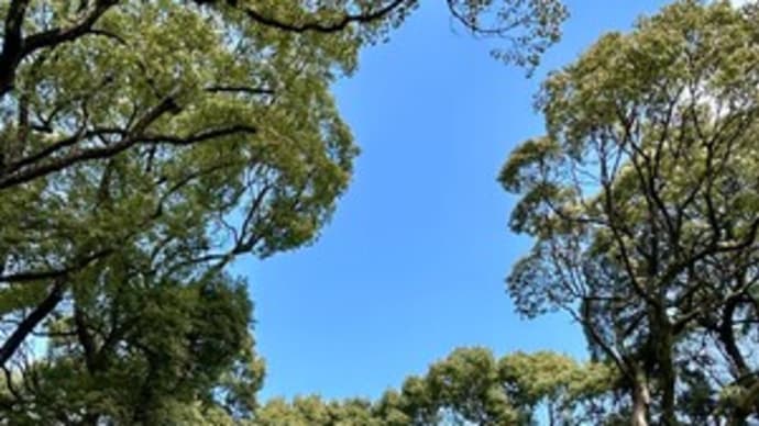 春の課外授業〜スマホ散歩