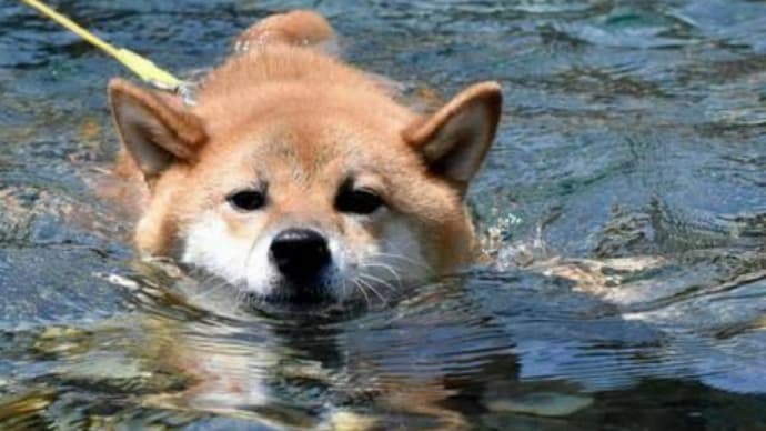 お風呂😃🛀