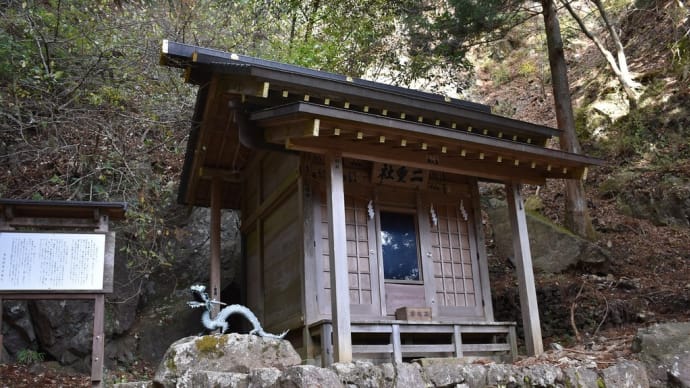 もみじ狩り 神奈川県伊勢原市 大山見晴台ハイキングコース(2)二重社(ふたえしゃ)呪いの杉