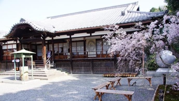 2023年 4月 3日(月)の「豊公園・長浜城」・「彦根城」・「京都東山」(12)