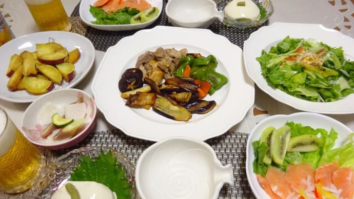 程々の嗜みで晩ご飯、マウスピースとサーキュレーター