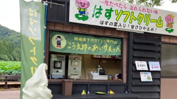 【南越前町の花はす公園】日帰りバス招待旅②2024/7/10