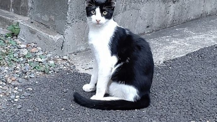 思わず口から出た言葉にびっくり!・・・私の本心ってそこ?な話