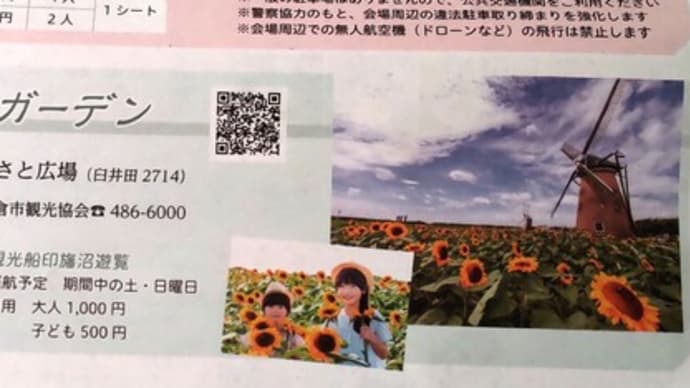 7月の花 ヒマワリ