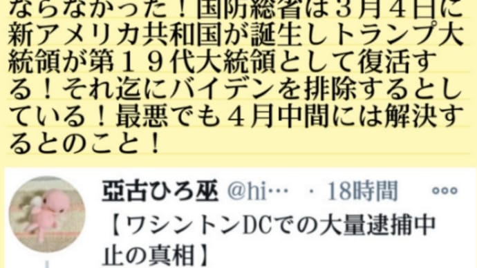 トランプ情報!ワシントンDCでの大量逮捕中止の真相!大量逮捕実行前日にディープステートがブリーフケースに入った【核爆弾】でアメリカを吹っ飛ばすと脅迫が入った!国防総省は最悪でも4月中間には解決する!
