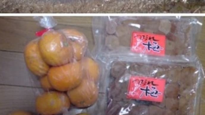 梅と梅干…曽我の梅林