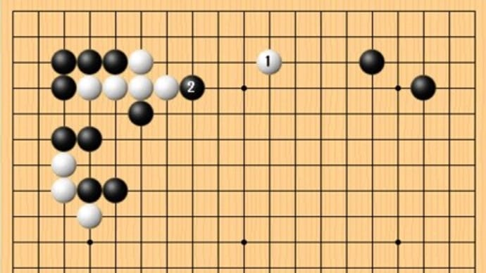 本因坊戦挑戦第二局１日目