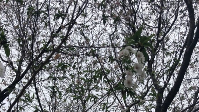 花の秋 読書の秋 縁結びの秋