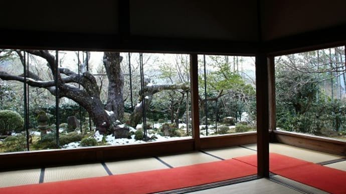京都・大原 宝泉院雪景色
