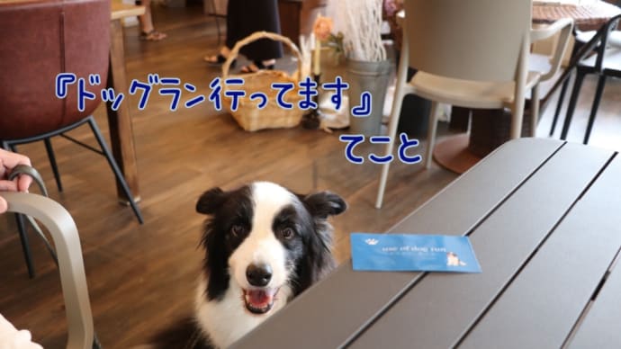 まだ気がついていない