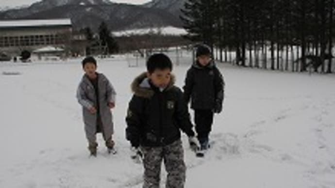 春なのに冬長期のようなお天気でした