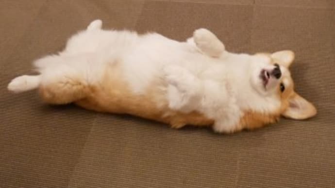暫く見納め!?