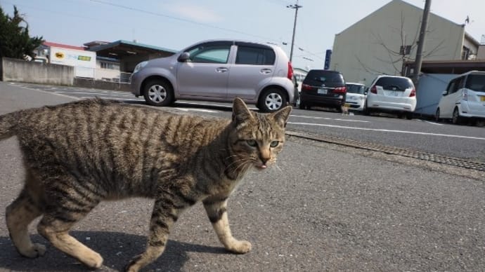 引っ越しのプロですが・・・