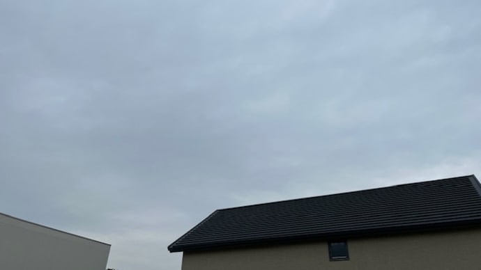 霧雨が1時間続くと出たがもうポツポツと