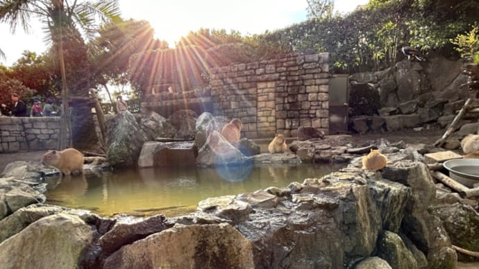 伊豆高原「伊豆シャボテン動物公園」①