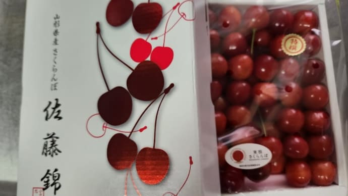 山形のさくらんぼ🍒