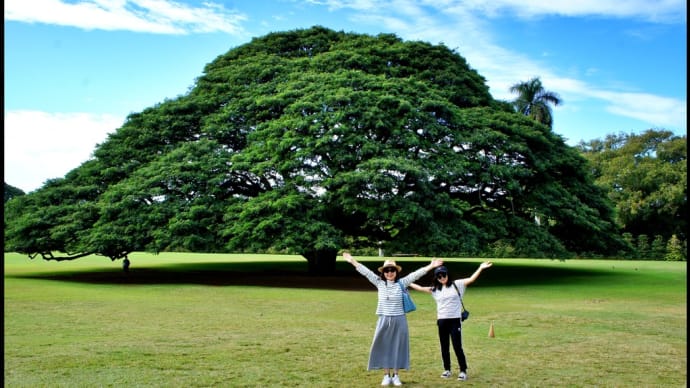 色んな風景~ハワイの休日~