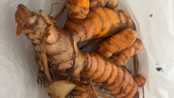 特級呪物を貰った