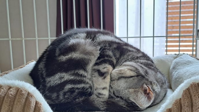 ソースって種類多くない??