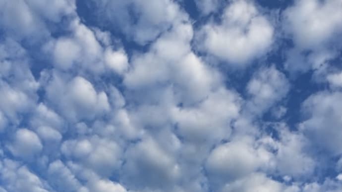 秋空……なの〜〜