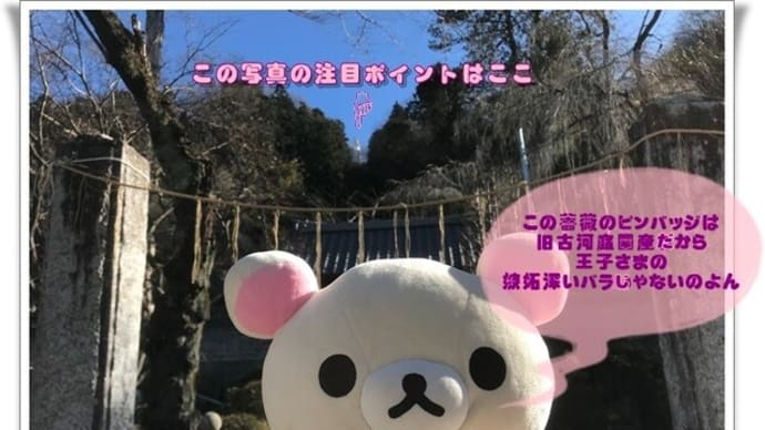 大渕寺