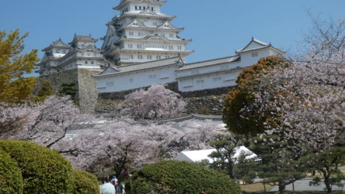 今週の予定 2024年3月25日(月)~2024年3月31日(日)