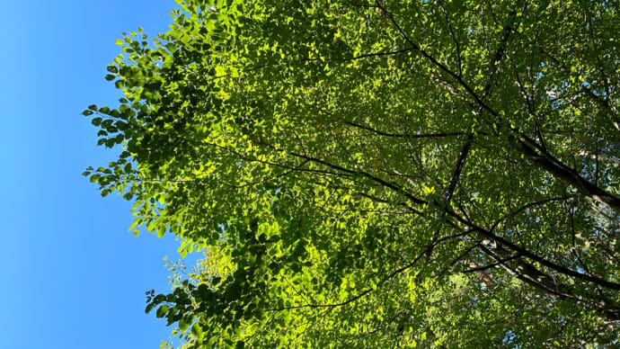 今日も一歩一歩。