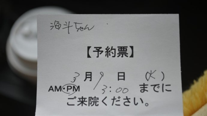 申し訳ない