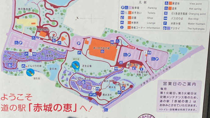 半分上京物語③