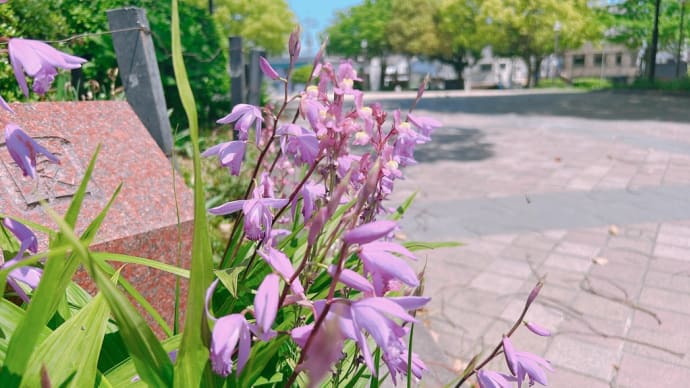 このままでは、終わらせない