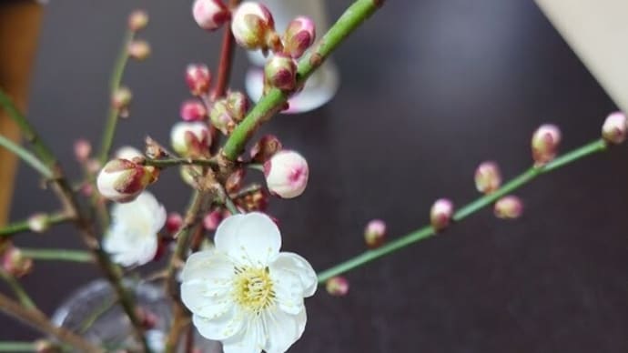 花と花