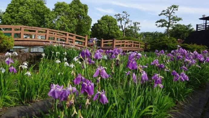 南信州旅行・ばら公園いこいの広場