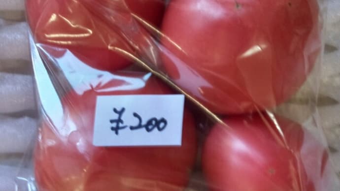 トマトと トマトの料理 相模原地場産トマトリンカ409 (2-1)