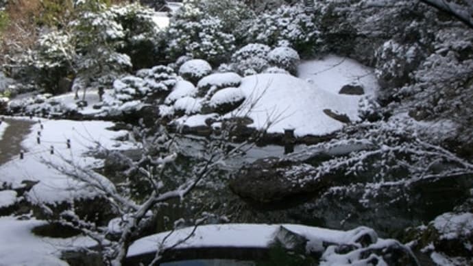 京都妖怪探訪（８６）：雪の青蓮門院門跡・その２