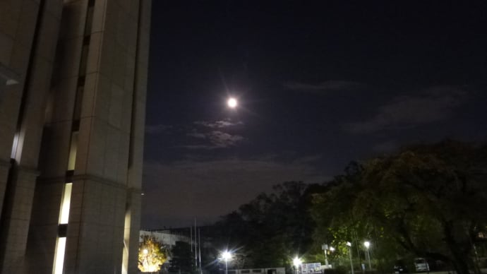 #月夜