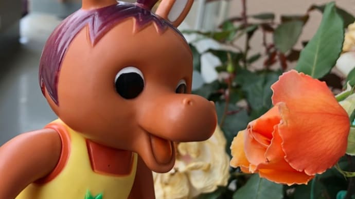 ロバくんとオレンジ色の薔薇