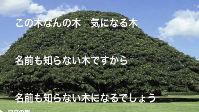 「日立の樹」