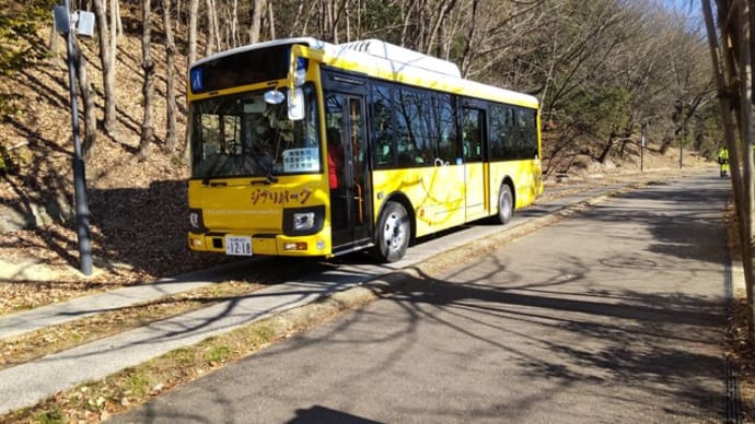 日本庭園の路が大改造：バスの専用道路完成後の姿