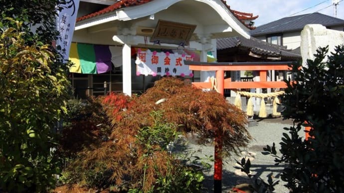 11.3 お会式