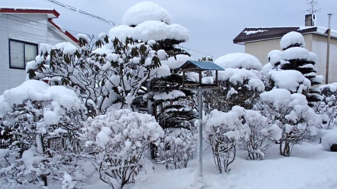 ≪ 釧路市の除雪体制への疑問 ≫