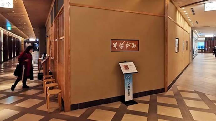 そばがみ(有楽町)の「花」