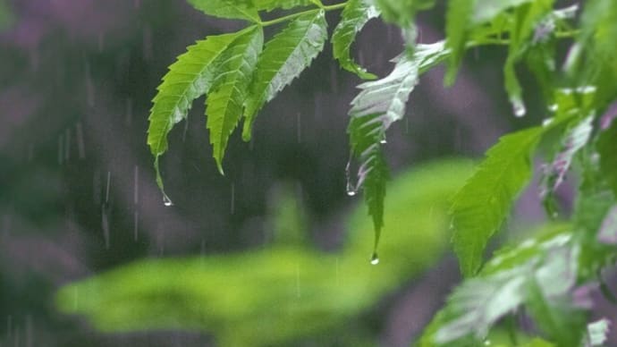 曇りのち晴れ