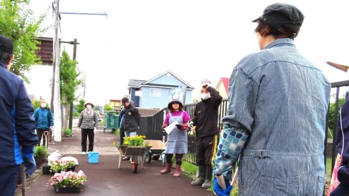 Ⓑ‐12.町内会花壇のボランティア 2024.5.26